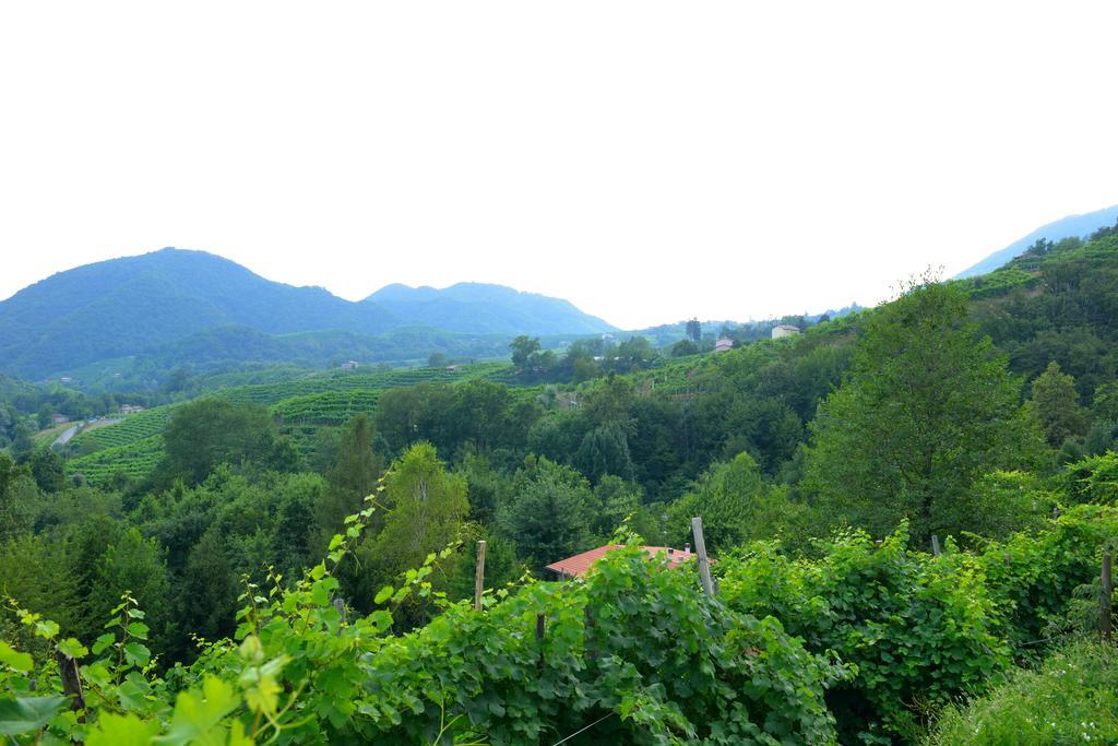 B&B Casa Di Campagna Miane Habitación foto