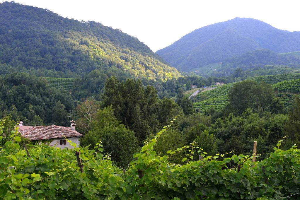 B&B Casa Di Campagna Miane Habitación foto